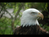 Click to see DSCN6187.JPG