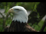 Click to see DSCN6191.JPG
