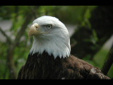 Click to see DSCN6194.JPG