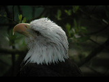 Click to see DSCN6209.JPG