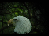 Click to see DSCN6248.JPG
