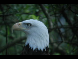 Click to see DSCN6253.JPG