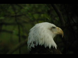 Click to see DSCN6258.JPG