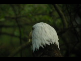 Click to see DSCN6263.JPG