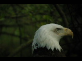 Click to see DSCN6264.JPG