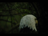 Click to see DSCN6265.JPG